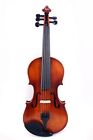 5 String Electric Violin 4/4 Maple Spruce Ebony Fittings Free Case Violin Bow