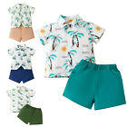 Baby Boy Clothes Shorts Set Button Down Hawaiian Shirts Shorts Summer Outfits