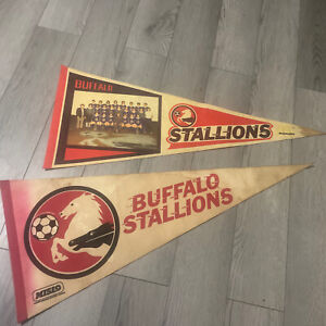 Lot Of Two Buffalo Stallions Felt Pennants 70s 80s Major Indoor Soccer League
