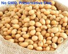 BULK 3 KG ORGANIC NON GMO SOY BEANS -  DRIED SOYA BEANS -  FOR TOFU - SOY MILK
