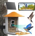 Solar Bird Feeder with Camera Wireless Outdoor Auto Record Bird Video Instant