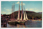 Long Island Harbor Fishing Sailboats New York Postcard