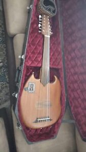 oud musical instrument electric