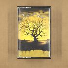 DAYS OF THE NEW Cassette Tape YELLOW ALBUM 1997 90s VINTAGE Rock Grunge