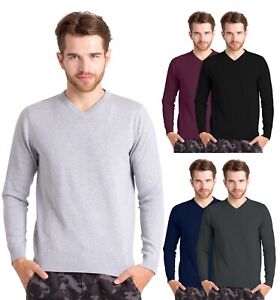 Men's V-Neck Cotton Regular Fit Lightweight Classic Long Sleeve Pullover Sweater