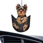 2D Car Pendant Pocket Puppy Cute Dog Car Interior Decor Dashboard Key Backpack