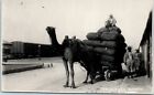 1950s Camel Cart Karachi Pakistan Real Photo Postcard