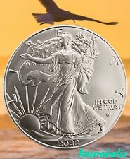 2022 1 oz Silver American Eagle Coin BU .999 Pure, From Tube, Free Daily Shippin