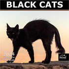 Black Cats 2024 Hangable Monthly Wall Calendar 12