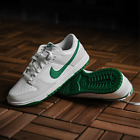 Nike Dunk Low Retro Shoes Summit White Malachite DV0831-107 Men's Sizes NEW