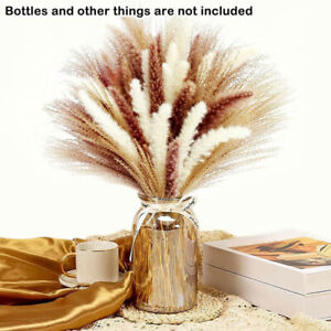 60 PCS Pampas Grass Natural Dried Reed Flower Bunch Home Wedding Decor Bouquets