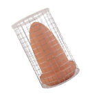 Top-Quality Angelfish and Discus Breeding Slate and Cone