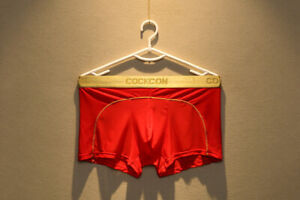 Hot Sale Sexy Underwear Men Boxer Transparent  Panties Solid Underpant Gay Boxer
