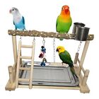 Bird Playground Parrot Playstand Birds Play Stand Wood Exercise Perch Gym