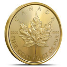 2023 1/2 oz Canadian Gold Maple Leaf Coin (BU)
