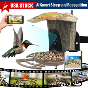 Smart Bird Feeder with Camera 1080P HD 2K Auto Capture Bird Videos & Solar WiFi