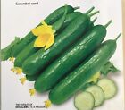 15+ Chinese Fruit Cucumber Seeds Burpless Hybrid Persian mini cucumber USA