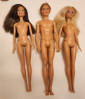 Barbie Dolls Lot Pre-Fashionista Era w/Ken, Teresa, Barbie EUC (Lot #14)