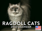 Ragdoll Cat 2024 Wall Calendar