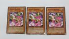 3x  MIRAGE DRAGON   MONSTER PLAYSET  1ST EDITION  RDS-EN027   COMMON YUGIOH  NM