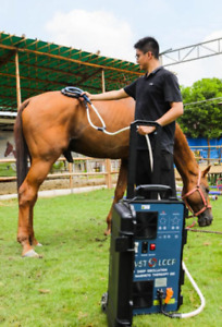 New ListingHot Magnetic Horse Pain Relief PEMF Therapy Horses Massage Machine PMST LOOP