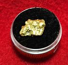 California Natural Gold Nugget 3.4 Grams in a Gem jar w/lid
