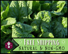 1300+ Spinach Seeds [Bloomsdale Longstanding] Vegetable Gardening, Non-GMO, USA