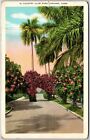 Havana Cuba, 1936 In Country Club Park, Subdivision, Flower Gardens, Postcard