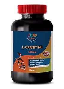 Rapid Weight Loss Pills - L-Carnitine 500mg - Acetyl L-Carnitine 100 1B