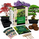 Bonsai Starter Kit – Japanese Bonsai Tree Kit with Bonsai Tools, 7 Bonsai Tree S