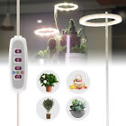 LED Grow Lights Indoor Lamp USB Lights Full Spectrum For Flower Plant Growing