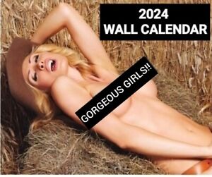 2024  WALL CALENDAR Hot Babes / Sexy Ladies    13 MONTH / TWELVE GORGEOUS GIRLS!