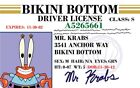 Sponge Bob Squarepants Mr. Krabs Laminated Novelty Trading Card Driver License