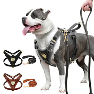 Genuine Leather Dog Harness & Leash with Personalized Nameplate Spiked Studded