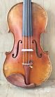 4/4 violin Guarneri model Flamed maple back spruce top hand old Style Nice Sound