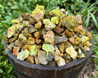 1/2 lb Bulk Wholesale Lot Natural Rough Green Opal (Raw Crystal Gem Stones 8 oz)