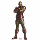 Iron Man Cardboard Cutout Standup Standee MARVEL TIMELESS COLLECTION