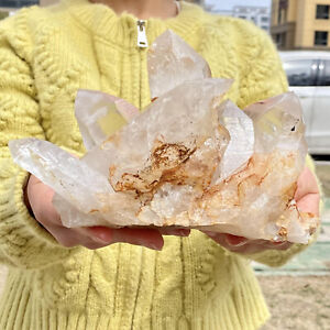3.93LB Natural Clear Quartz Chakra Reiki Crystal Cluster Gemstone Specimen