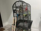 Large parrot bird cage like a Condo for our feathered friends