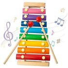 Xylophone for Kids, Xylophone Musical Toy with Child Safe Mallets Educational