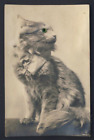 Cat with inset green eye - RPPC