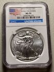 2013 Silver Eagle NGC MS 70 EARLY RELEASES - US Label #275