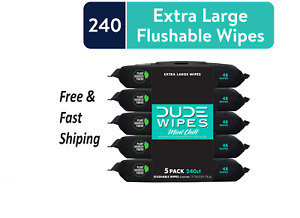 DUDE Wipes Flushable Wipes, XL Wet Wipes for At Home Use, Mint Chill, 240 Count