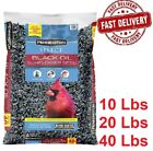 Pennington Select Black Oil Sunflower Seed Wild Bird Feed 10, 20 & 40 Lb Bag USA