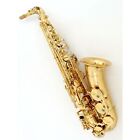 YANAGISAWA A-WO1 Alto Saxophone Eb Brass Sax Light Weight  w/ case Used Japan