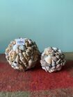 Crate and Barrel Shell Spheres Beach House Nautical Theme