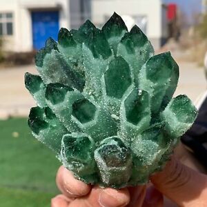 403G Newly discovered green phantom quartz crystal cluster minerals