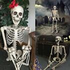 Halloween Human Skeleton Oversized Poseable Full Life Size Decor Prop 40cm