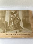 Stereograph Stereoview “Well! What are you looking at?” Lady 1900s Formal Dress