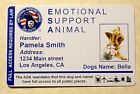 Holographic ESA Emotional Support Animal ID Card  Service Dog Badge 24